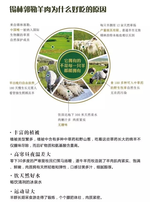 锡林郭勒羊肉为什么好吃的原因
