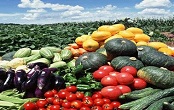 检政合作共建国家级出口食品农产品质量安全示范区